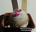 Нажмите на изображение для увеличения.

Название:	P1210557.jpg
Просмотров:	204
Размер:	104.1 Кб
ID:	358446