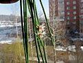 Нажмите на изображение для увеличения.

Название:	IMG_6862 (950x713).jpg
Просмотров:	492
Размер:	280.0 Кб
ID:	358472