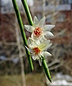 Нажмите на изображение для увеличения.

Название:	IMG_6863 (841x1000).jpg
Просмотров:	495
Размер:	388.7 Кб
ID:	358473