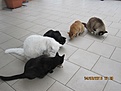 Нажмите на изображение для увеличения.

Название:	IMG_6905 (900x675).jpg
Просмотров:	204
Размер:	252.0 Кб
ID:	358491