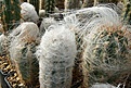 Нажмите на изображение для увеличения.

Название:	DSC07367.JPG
Просмотров:	265
Размер:	150.6 Кб
ID:	358604