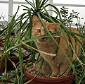 Нажмите на изображение для увеличения.

Название:	DSC07467.JPG
Просмотров:	242
Размер:	131.3 Кб
ID:	358608