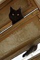 Нажмите на изображение для увеличения.

Название:	DSC07385.JPG
Просмотров:	238
Размер:	129.9 Кб
ID:	358609