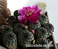 Нажмите на изображение для увеличения.

Название:	P1210936 - копия.JPG
Просмотров:	208
Размер:	149.9 Кб
ID:	359030
