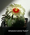 Нажмите на изображение для увеличения.

Название:	P1210955 - копия.JPG
Просмотров:	210
Размер:	178.2 Кб
ID:	359034