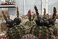 Нажмите на изображение для увеличения.

Название:	IMGP4764.JPG
Просмотров:	147
Размер:	482.4 Кб
ID:	359124