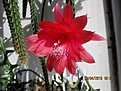 Нажмите на изображение для увеличения.

Название:	IMG_7410 (1000x750).jpg
Просмотров:	456
Размер:	340.1 Кб
ID:	359207