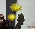 Нажмите на изображение для увеличения.

Название:	DSC00065.JPG
Просмотров:	272
Размер:	60.9 Кб
ID:	359558