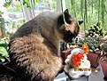 Нажмите на изображение для увеличения.

Название:	IMG_8180 (950x713).jpg
Просмотров:	207
Размер:	468.7 Кб
ID:	359998