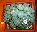 Нажмите на изображение для увеличения.

Название:	P1010110_.jpg
Просмотров:	293
Размер:	239.4 Кб
ID:	360453