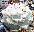 Нажмите на изображение для увеличения.

Название:	IMG_8618.JPG
Просмотров:	155
Размер:	224.4 Кб
ID:	360538
