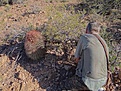Нажмите на изображение для увеличения.

Название:	1.JPG
Просмотров:	171
Размер:	239.0 Кб
ID:	360719