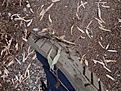 Нажмите на изображение для увеличения.

Название:	5.JPG
Просмотров:	159
Размер:	228.0 Кб
ID:	360723