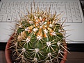 DSCN3396.JPG