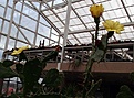 Нажмите на изображение для увеличения.

Название:	PA230132.jpg
Просмотров:	208
Размер:	59.1 Кб
ID:	362418