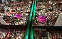 Нажмите на изображение для увеличения.

Название:	DSC00422.JPG
Просмотров:	152
Размер:	308.8 Кб
ID:	362491
