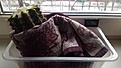 Нажмите на изображение для увеличения.

Название:	_16_12_16_сайт.jpg
Просмотров:	411
Размер:	110.7 Кб
ID:	362845