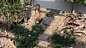 Нажмите на изображение для увеличения.

Название:	IMG_1364.JPG
Просмотров:	297
Размер:	163.1 Кб
ID:	363087