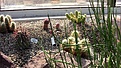 Нажмите на изображение для увеличения.

Название:	IMG_1396.JPG
Просмотров:	296
Размер:	175.8 Кб
ID:	363109