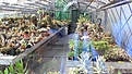 Нажмите на изображение для увеличения.

Название:	IMG_1416.JPG
Просмотров:	187
Размер:	147.1 Кб
ID:	363150