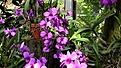 Нажмите на изображение для увеличения.

Название:	IMG_1474.JPG
Просмотров:	196
Размер:	418.5 Кб
ID:	363174