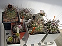 Нажмите на изображение для увеличения.

Название:	Cacti 03.17.JPG
Просмотров:	206
Размер:	328.2 Кб
ID:	363618
