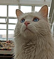 Нажмите на изображение для увеличения.

Название:	IMG_20170318_121937.jpg
Просмотров:	231
Размер:	230.6 Кб
ID:	363836