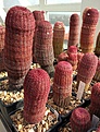 Нажмите на изображение для увеличения.

Название:	IMG_20170318_122736.jpg
Просмотров:	243
Размер:	305.7 Кб
ID:	363874