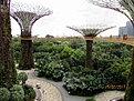 Нажмите на изображение для увеличения.

Название:	IMG_0542 (1000x750) (970x728).jpg
Просмотров:	228
Размер:	468.2 Кб
ID:	364066
