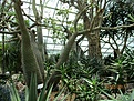 Нажмите на изображение для увеличения.

Название:	IMG_0664 (920x690) (900x675).jpg
Просмотров:	219
Размер:	490.0 Кб
ID:	364115