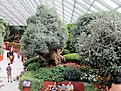 Нажмите на изображение для увеличения.

Название:	IMG_0787 (900x675) (880x660).jpg
Просмотров:	208
Размер:	489.5 Кб
ID:	364132