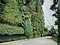 Нажмите на изображение для увеличения.

Название:	IMG_0241 (2) (880x660) (860x645).jpg
Просмотров:	206
Размер:	487.2 Кб
ID:	364165