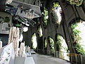 Нажмите на изображение для увеличения.

Название:	IMG_0780 (880x660).jpg
Просмотров:	296
Размер:	403.6 Кб
ID:	364167