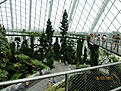 Нажмите на изображение для увеличения.

Название:	IMG_0773 (850x638).jpg
Просмотров:	197
Размер:	444.5 Кб
ID:	364177