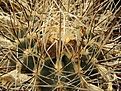 Нажмите на изображение для увеличения.

Название:	P3290005.JPG
Просмотров:	266
Размер:	270.8 Кб
ID:	364182
