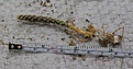 Нажмите на изображение для увеличения.

Название:	PTE500-15.jpg
Просмотров:	1633
Размер:	112.6 Кб
ID:	364347