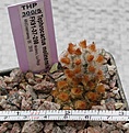Нажмите на изображение для увеличения.

Название:	TPH300-5.jpg
Просмотров:	1693
Размер:	42.8 Кб
ID:	364358