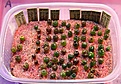 Нажмите на изображение для увеличения.

Название:	IMG_4206.jpg
Просмотров:	224
Размер:	246.5 Кб
ID:	364380