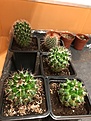 Нажмите на изображение для увеличения.

Название:	IMG_1605.JPG
Просмотров:	798
Размер:	98.6 Кб
ID:	364718
