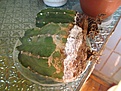 Нажмите на изображение для увеличения.

Название:	IMG_7463.JPG
Просмотров:	257
Размер:	270.5 Кб
ID:	364905