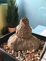 Нажмите на изображение для увеличения.

Название:	IMG_1738.JPG
Просмотров:	417
Размер:	57.2 Кб
ID:	365527