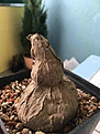Нажмите на изображение для увеличения.

Название:	IMG_1739.JPG
Просмотров:	387
Размер:	55.5 Кб
ID:	365528