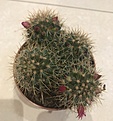 Нажмите на изображение для увеличения.

Название:	IMG_3091.PNG
Просмотров:	195
Размер:	156.5 Кб
ID:	365582