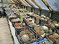 Нажмите на изображение для увеличения.

Название:	IMG_2234 (650x488).jpg
Просмотров:	289
Размер:	326.3 Кб
ID:	366345
