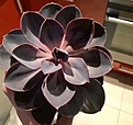 Нажмите на изображение для увеличения.

Название:	IMG_4034.PNG
Просмотров:	223
Размер:	94.0 Кб
ID:	366458
