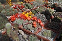 Нажмите на изображение для увеличения.

Название:	DSC_0081.JPG
Просмотров:	401
Размер:	192.3 Кб
ID:	367033
