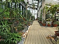 Нажмите на изображение для увеличения.

Название:	IMG_2814 (890x668).jpg
Просмотров:	405
Размер:	477.6 Кб
ID:	367294