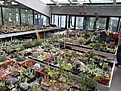 Нажмите на изображение для увеличения.

Название:	IMG_2856 (850x638).jpg
Просмотров:	395
Размер:	486.1 Кб
ID:	367313