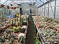 Нажмите на изображение для увеличения.

Название:	IMG_2829 (850x638).jpg
Просмотров:	376
Размер:	456.3 Кб
ID:	367326