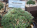 Нажмите на изображение для увеличения.

Название:	P6300161.JPG
Просмотров:	296
Размер:	244.5 Кб
ID:	367484